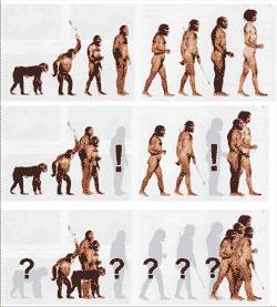 Die Evolutionslüge